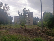 Горожане поблагодарили депутата Госдумы за помощь в спиле сухостоя